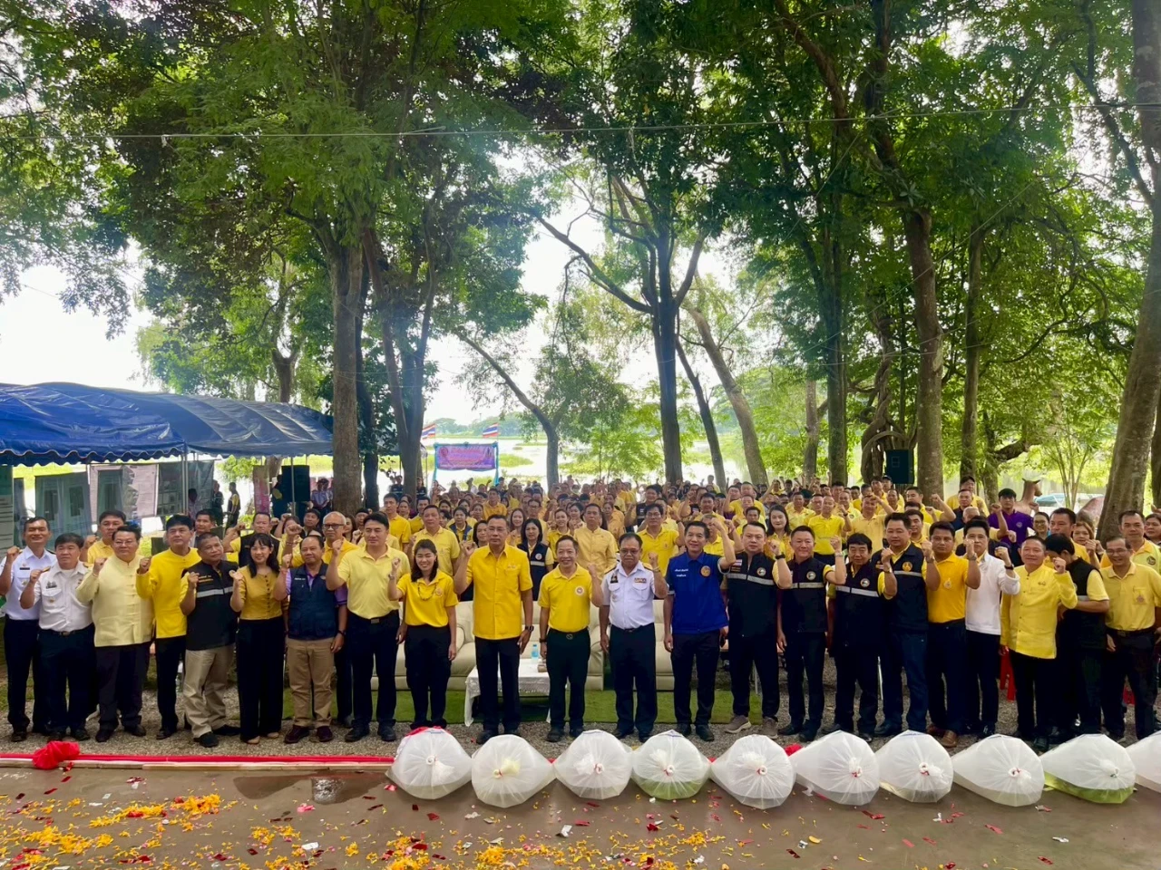 catalogs_file_299_5_29_413091.webp